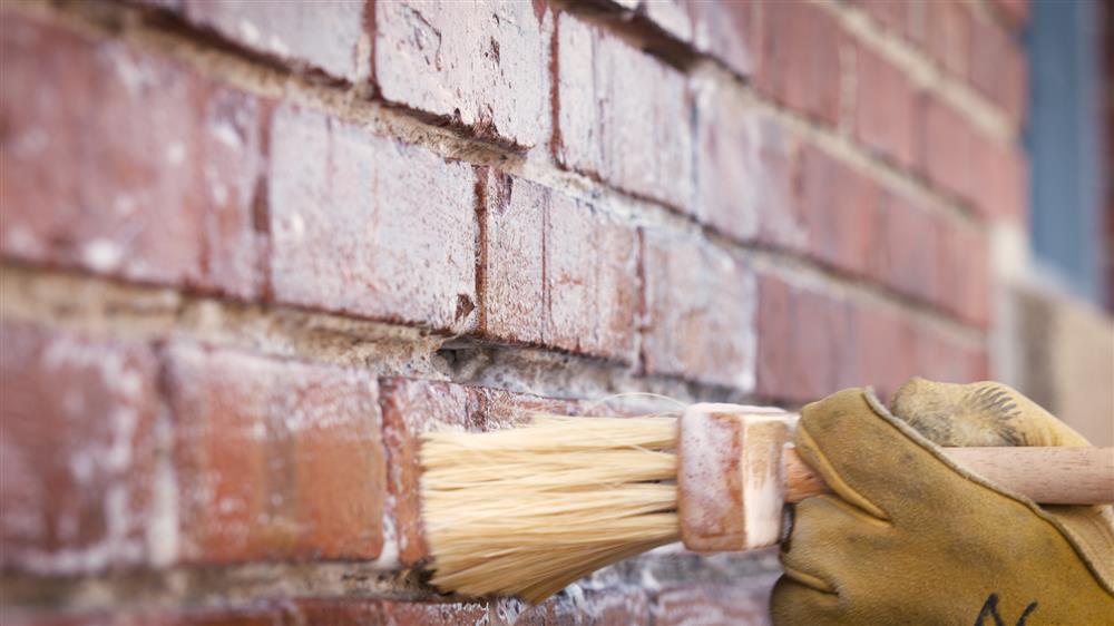 dust off and wet bricks with masonry brush